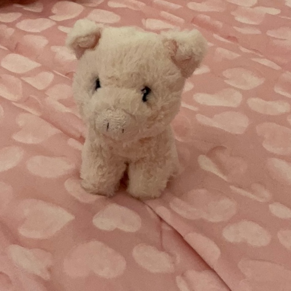 A fluffy baby pig pink